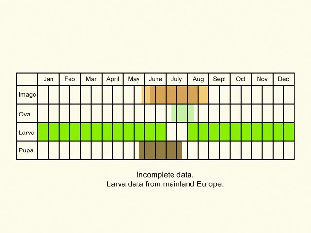  Life stages table Copyright Martin Evans 