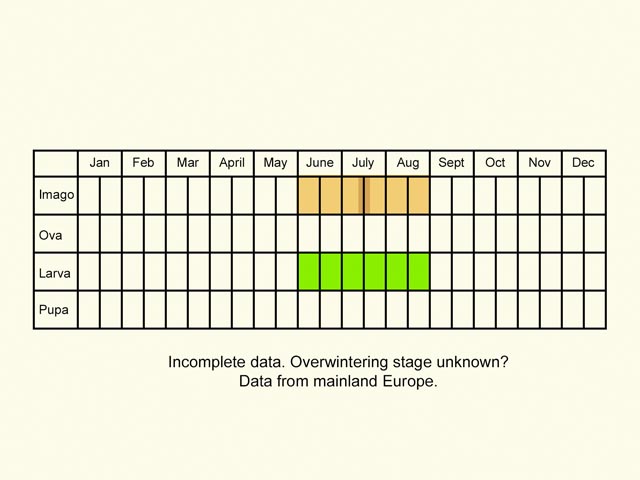 Life stages table Copyright Martin Evans 