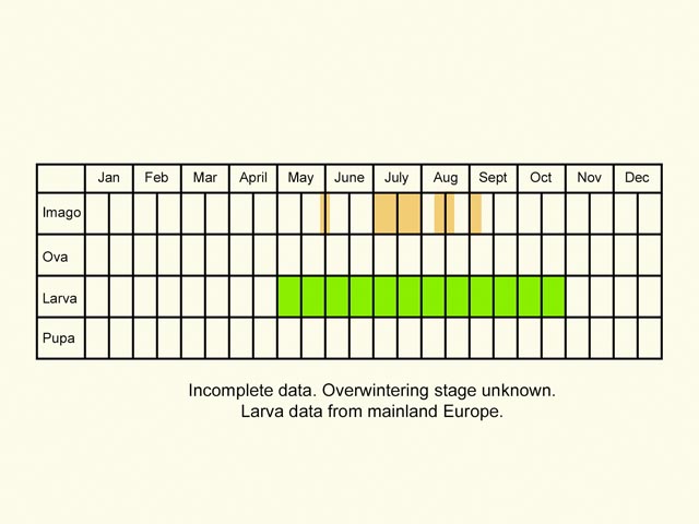  Life stages table Copyright Martin Evans 