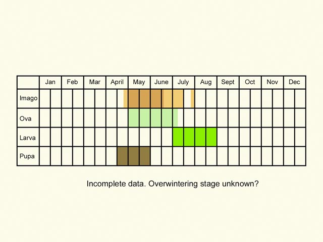  Life stages table Copyright Martin Evans 