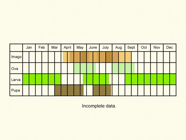  Life stages table Copyright Martin Evans 
