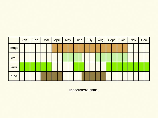  Life stages table Copyright Martin Evans 