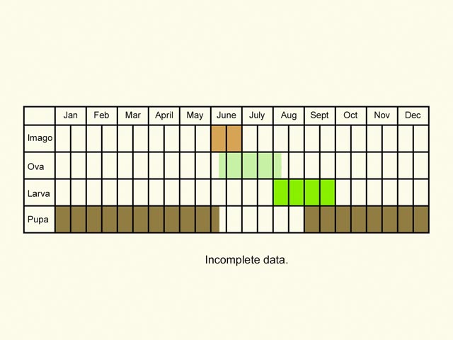  Life stages table Copyright Martin Evans 