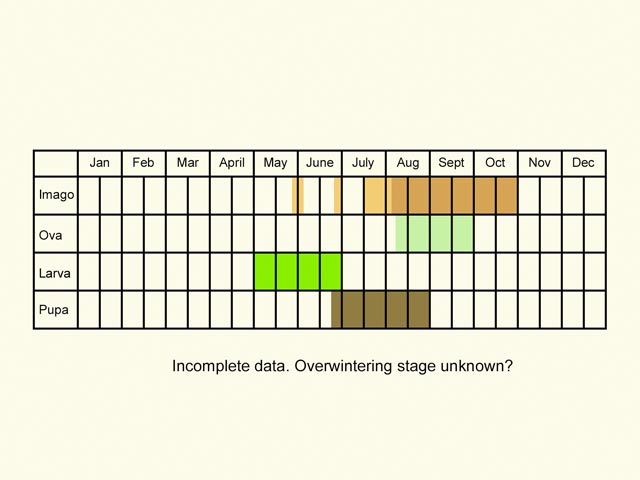  Life stages table Copyright Martin Evans 