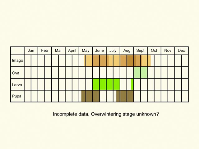 Life stages table Copyright Martin Evans 
