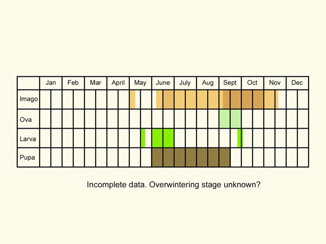  Life stages table Copyright Martin Evans 