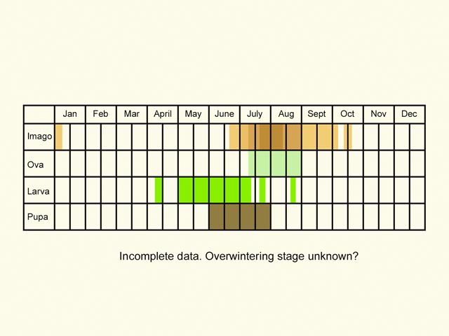  Life stages table Copyright Martin Evans 