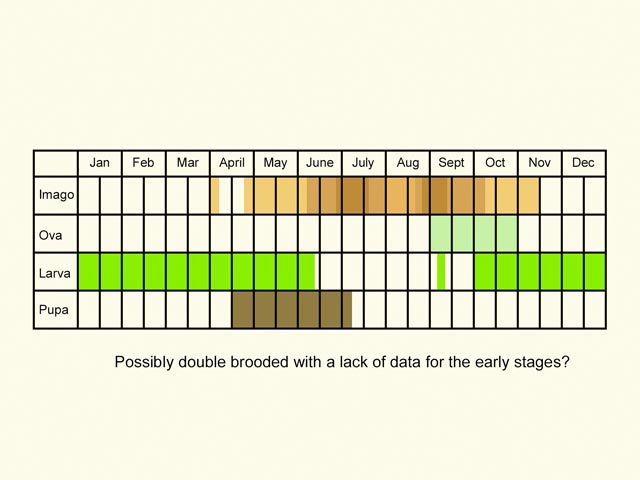  Life stages table Copyright Martin Evans 