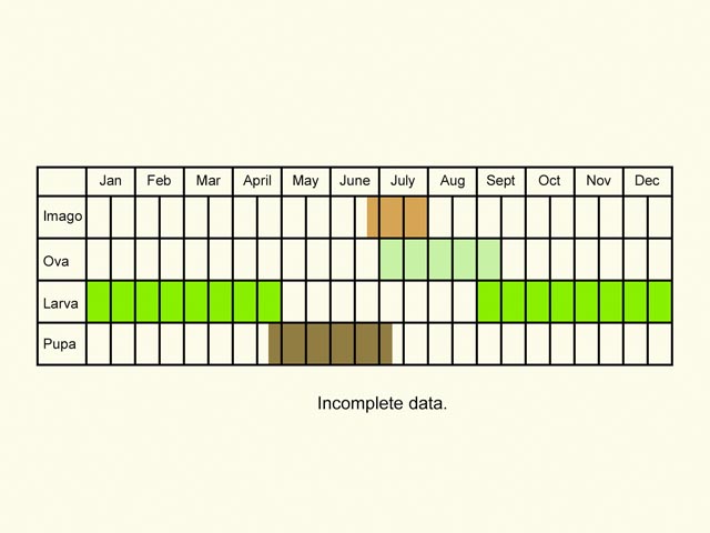  Life stages table Copyright Martin Evans 