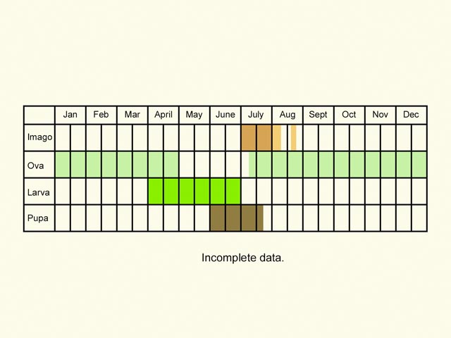  Life stages table Copyright Martin Evans 