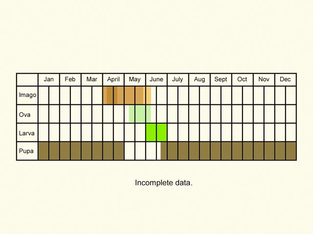  Life stages table Copyright Martin Evans 