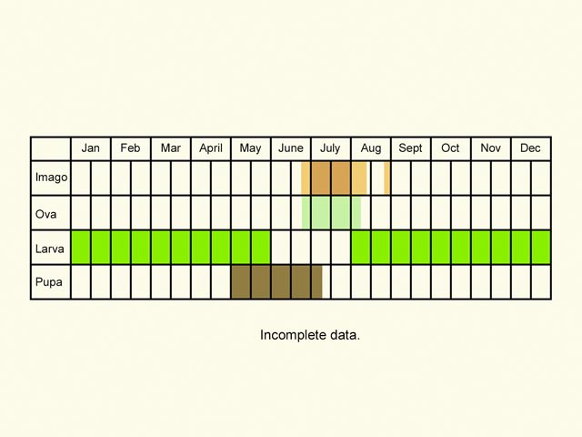  Life stages table Copyright Martin Evans 