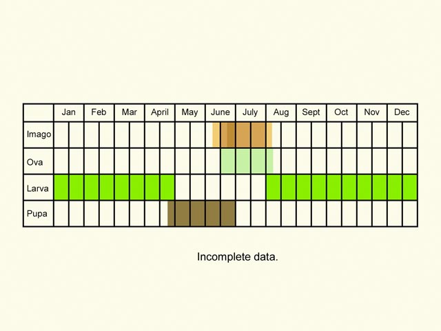  Life stages table Copyright Martin Evans 