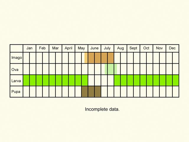  Life stages table Copyright Martin Evans 