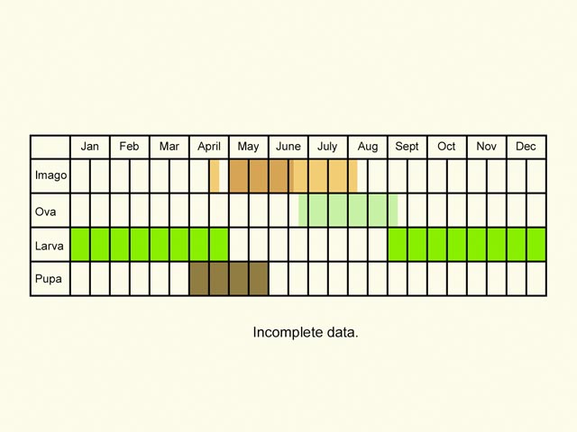  Life stages table Copyright Martin Evans 