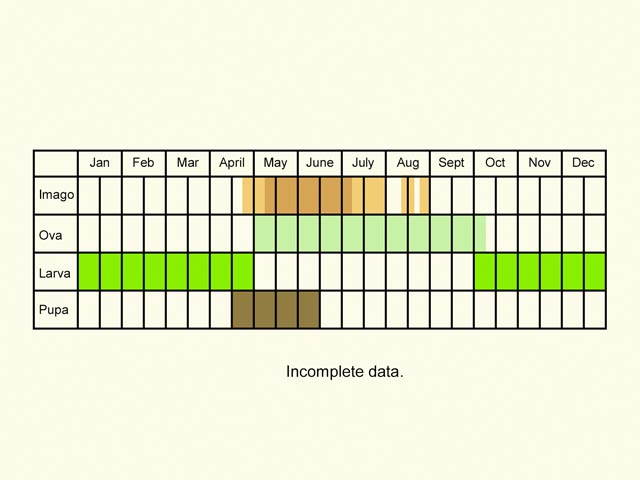  Life stages table Copyright Martin Evans 