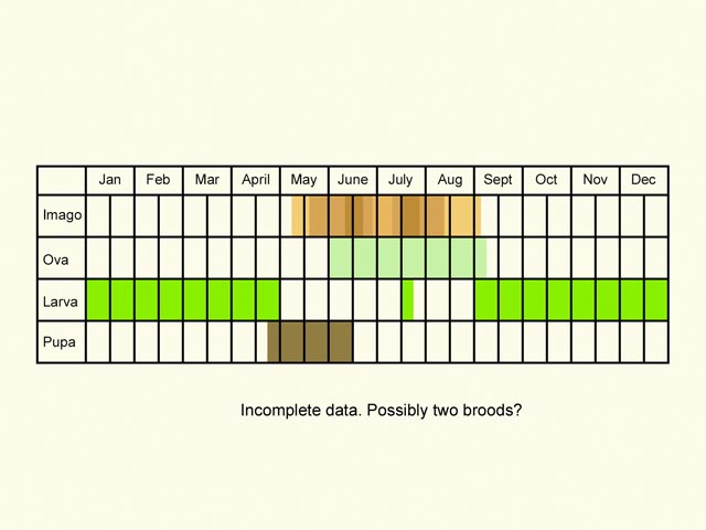  Life stages table Copyright Martin Evans 