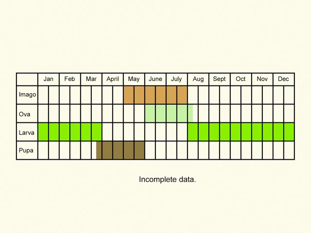 Life stages table Copyright Martin Evans 