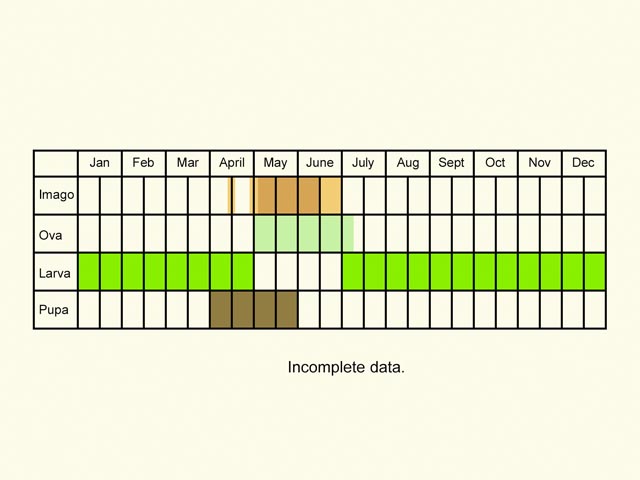  Life stages table Copyright Martin Evans 