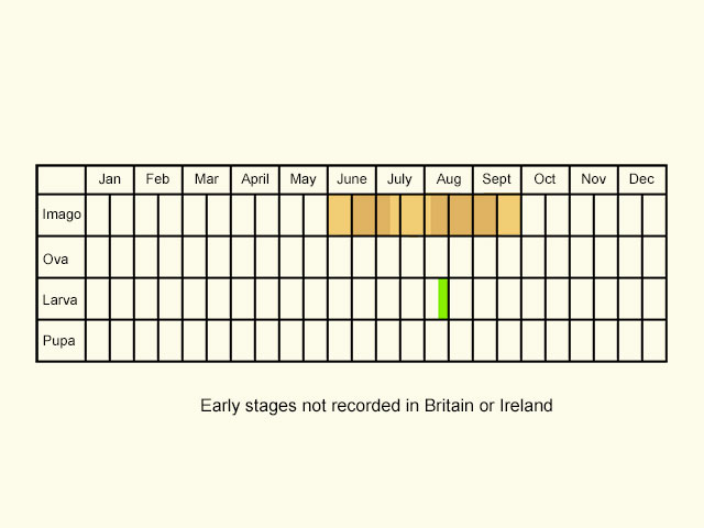  Life stages table Copyright Martin Evans 