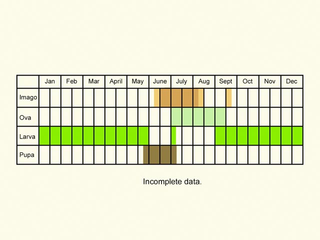  Life stages table Copyright Martin Evans 