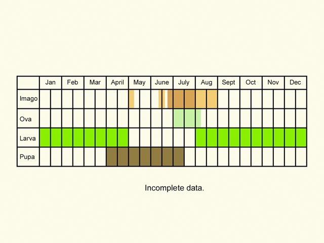  Life stages table Copyright Martin Evans 