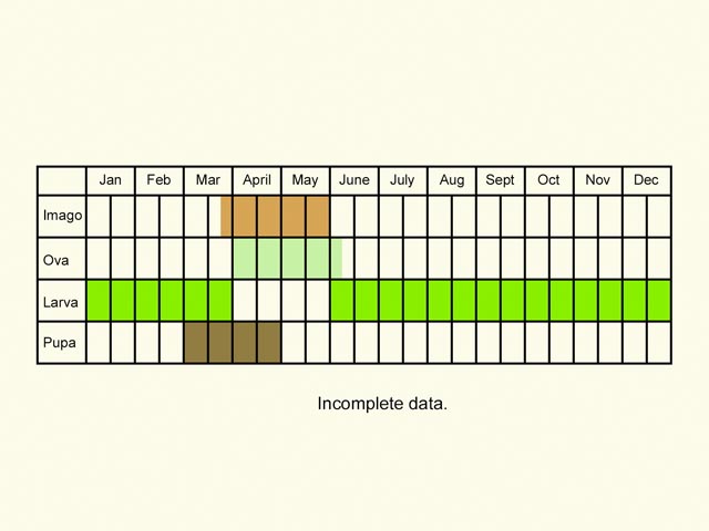  Life stages table Copyright Martin Evans 
