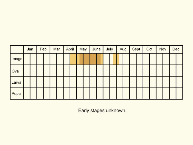  Life stages table Copyright Martin Evans 