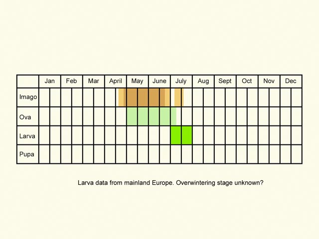 Life stages table Copyright Martin Evans 