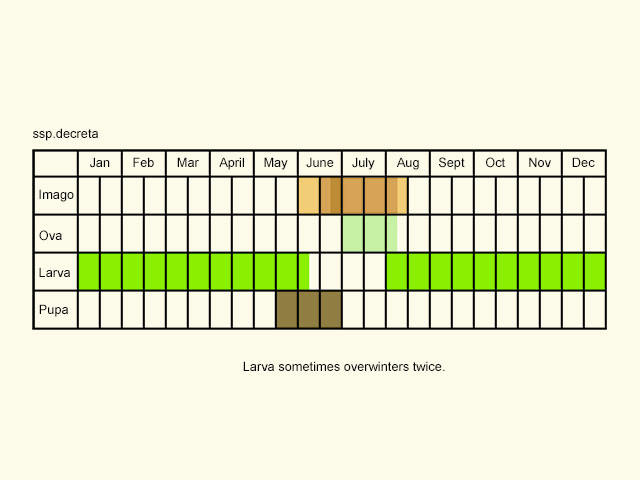  Life stages table Copyright Martin Evans 