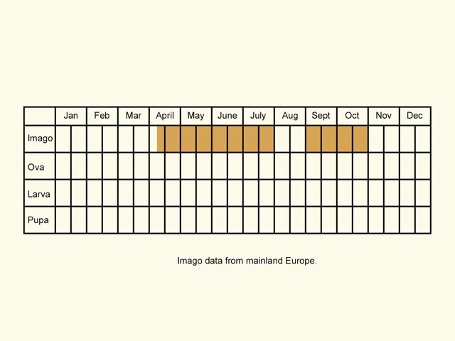  Life stages table Copyright Martin Evans 