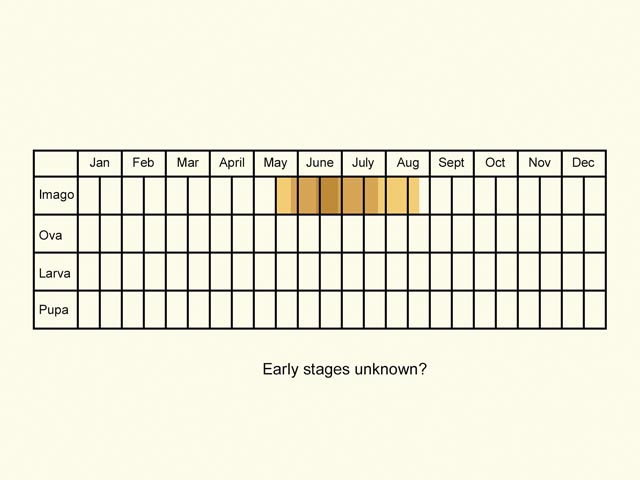  Life stages table Copyright Martin Evans 