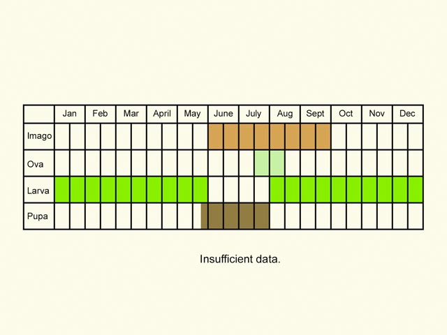  Life stages table Copyright Martin Evans 