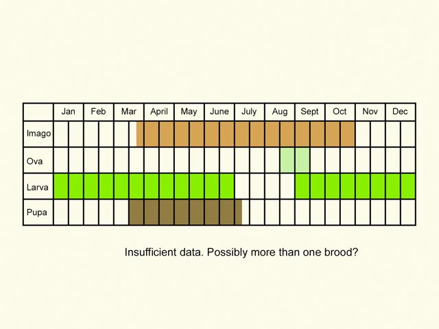  Life stages table Copyright Martin Evans 