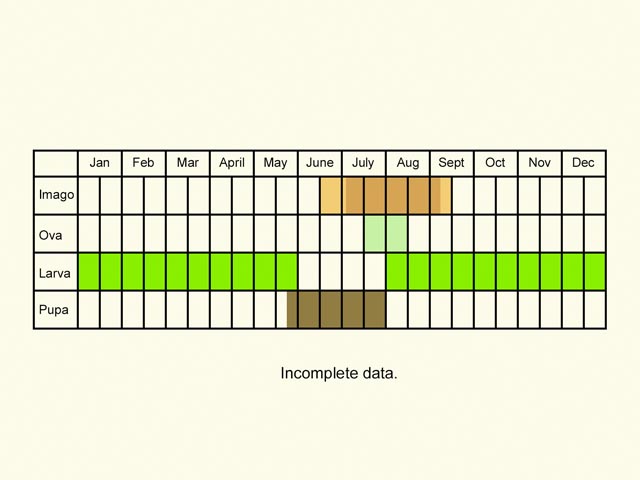  Life stages table Copyright Martin Evans 