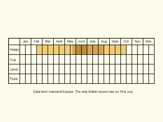  Life stages table Copyright Martin Evans 