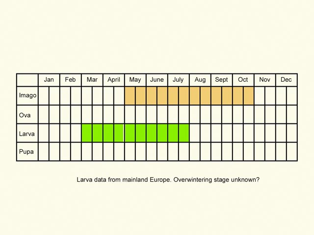  Life stages table Copyright Martin Evans 