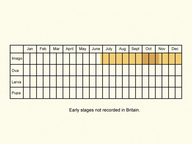  Life stages table Copyright Martin Evans 