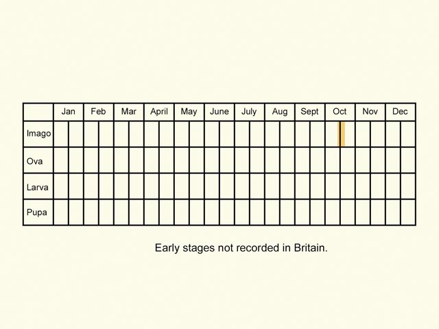  Life stages table Copyright Martin Evans 