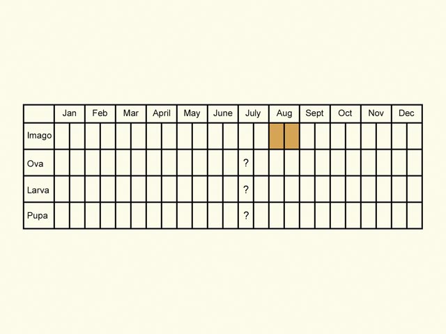  Life stages table Copyright Martin Evans 