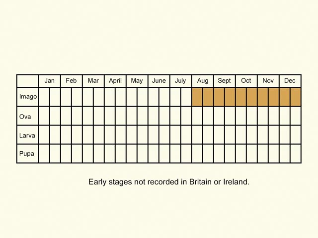  Life stages table Copyright Martin Evans 