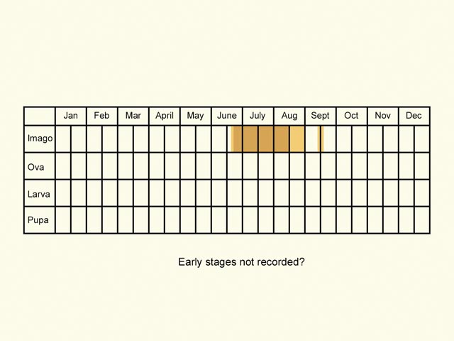  Life stages table Copyright Martin Evans 