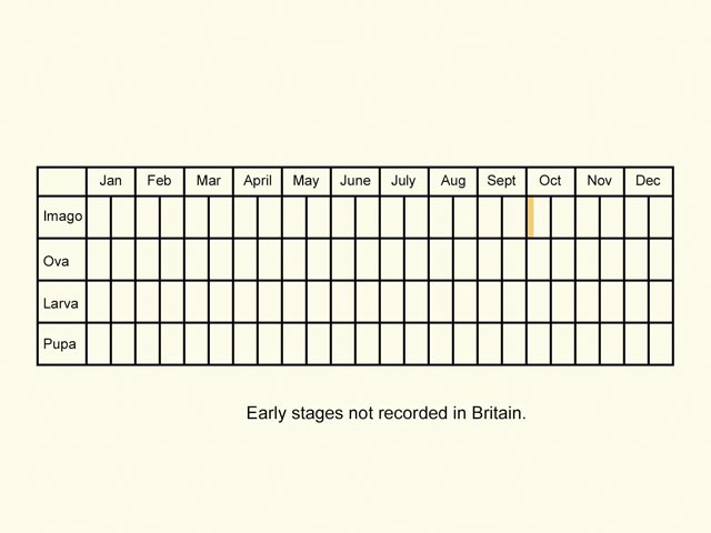  Life stages table Copyright Martin Evans 