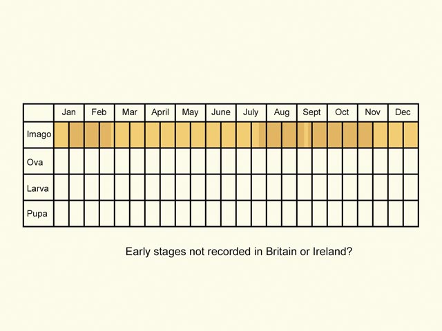  Life stages table Copyright Martin Evans 