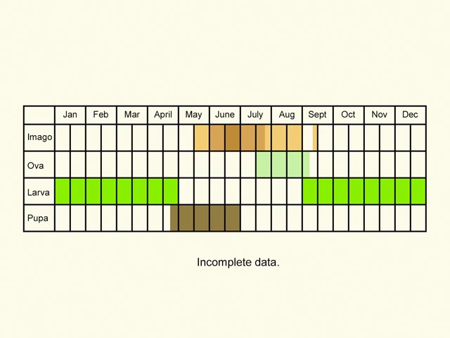  Life stages table Copyright Martin Evans 