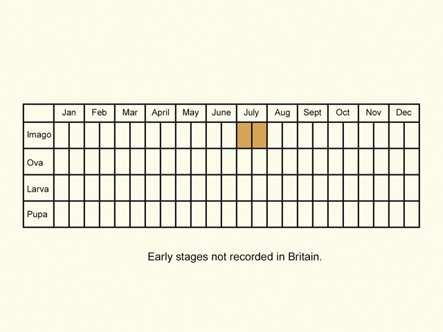  Life stages table Copyright Martin Evans 