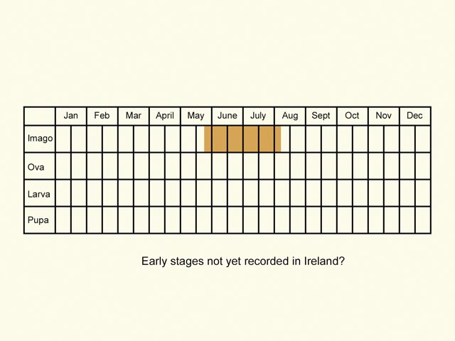  Life stages table Copyright Martin Evans 