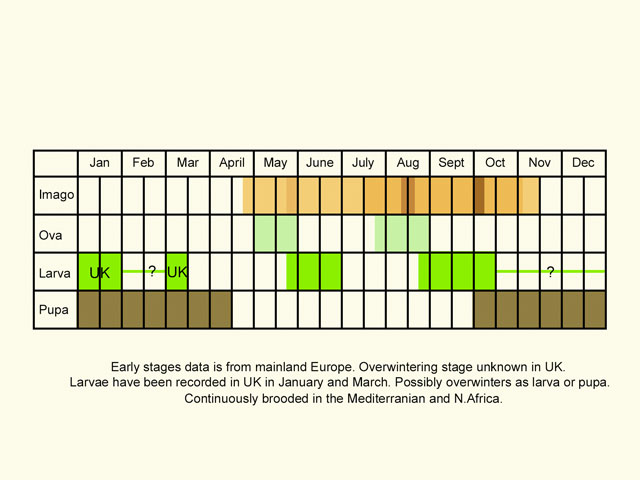  Life stages table Copyright Martin Evans 