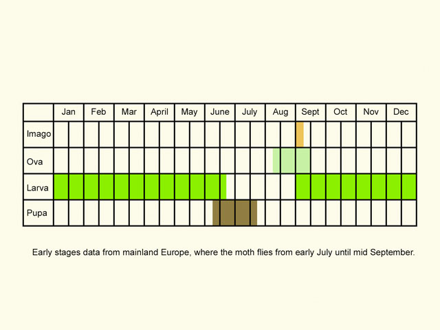  Life stages table Copyright Martin Evans 