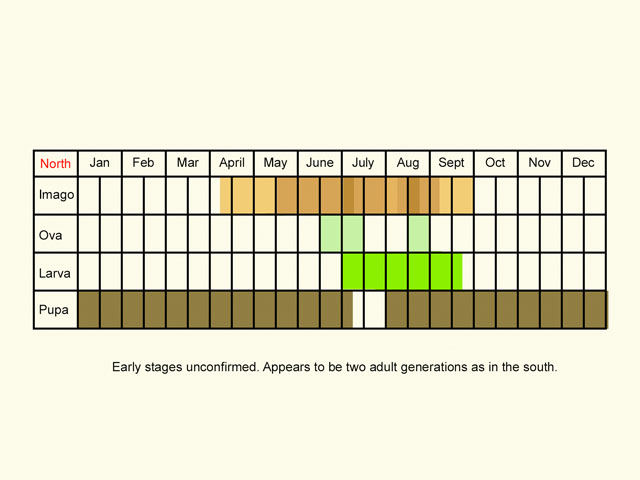  Life stages table Copyright Martin Evans 